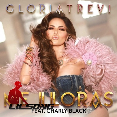 Gloria Trevi Ft. Charly Black - Me Lloras